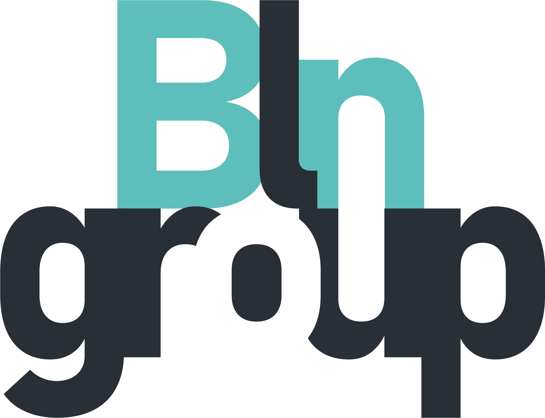 BLN Group Logo